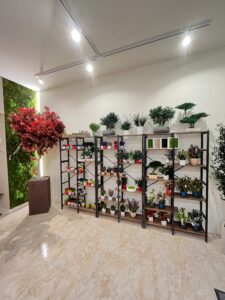 dettaglio Showroom piante quadri vegetali stabilizzati