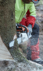 immagine di persona con una motosega che interviene sul tronco di un albero