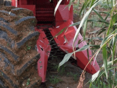 un macchinario effettua una tranciatura su un terrenno 